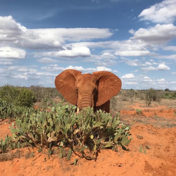 Meet your Posher - Picture 1 of 7